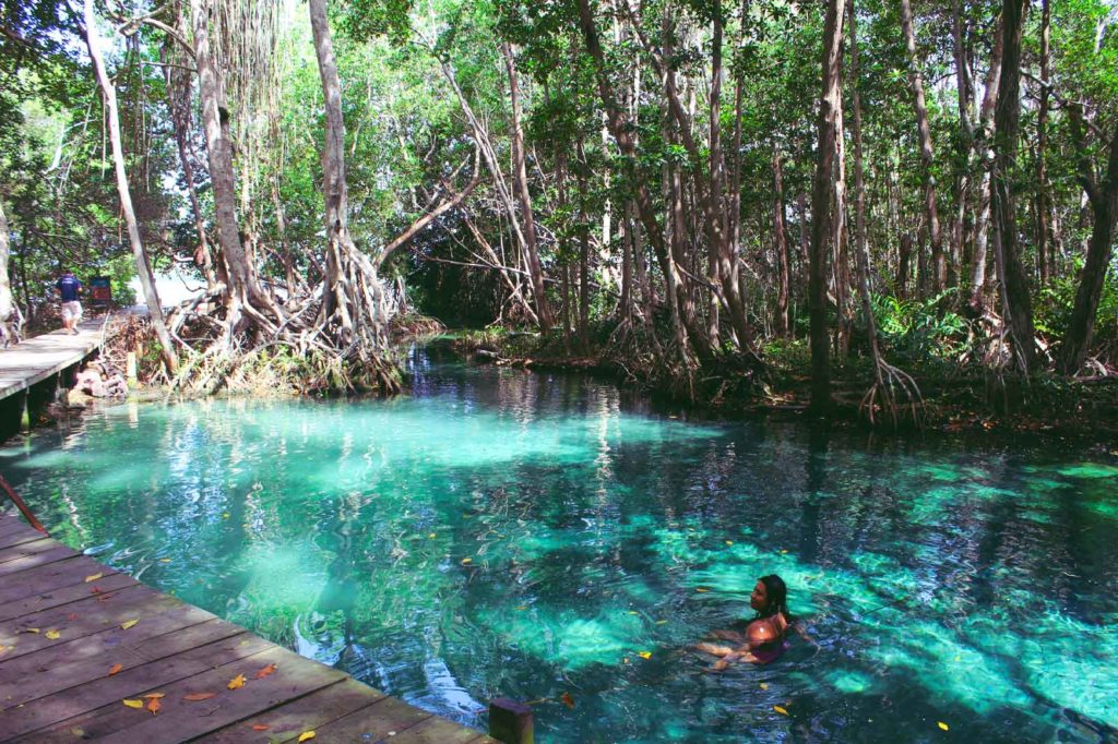 Visit Celestun Paradise in Yucatan Mexico | Mexico Finder